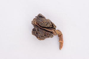 2024 Roasted Four Seasons
