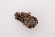 Load image into Gallery viewer, 2025 Shan Lin Xi Dong Ding