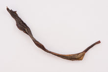 Load image into Gallery viewer, 2025 WuDong LaoCong MiTouXiang Dan Cong (Old Bush Honey Peach Aroma Oolong)