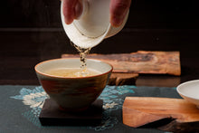 Load image into Gallery viewer, 2025 Hsinchu HCC 2 Flowers Award Winner Oriental Beauty