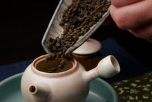 Load image into Gallery viewer, 2025 Shan Lin Xi Dong Ding