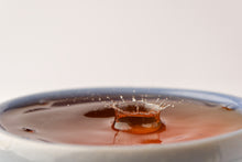 Load image into Gallery viewer, 2025 Hsinchu Farmer’s Choice Oriental Beauty