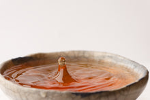 Load image into Gallery viewer, 2025 Shan Lin Xi Dong Ding