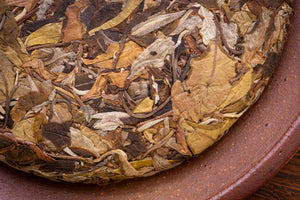 2024 Bai Hua Zhai GuShu BaiCha (古樹白茶) Cake