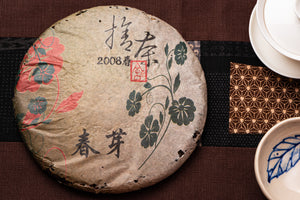 2008 YiWu Zheng Shan GuShu | Aged Sheng PuErh Tea