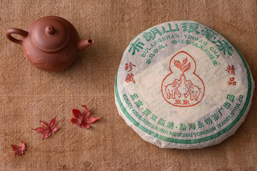 2005 BulangShan YinHao | Aged Sheng PuErh Tea