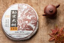 Load image into Gallery viewer, 2014 Meng Song Winter | Aged Sheng PuErh Tea